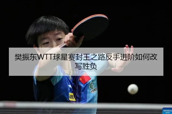 fan-zhen-dong-qiu-xing-sai-feng-wang-zhi-lu-fan-shou-jin-jie-ru-he-gai-xie-sheng-fu-2-300.jpg